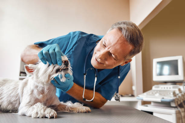 Best Emergency Tooth Extraction in Clio, MI