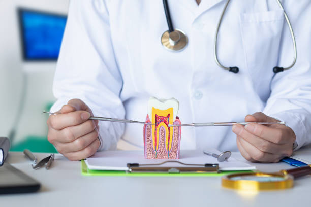Best Emergency Dental Care for Broken or Chipped Teeth in Clio, MI